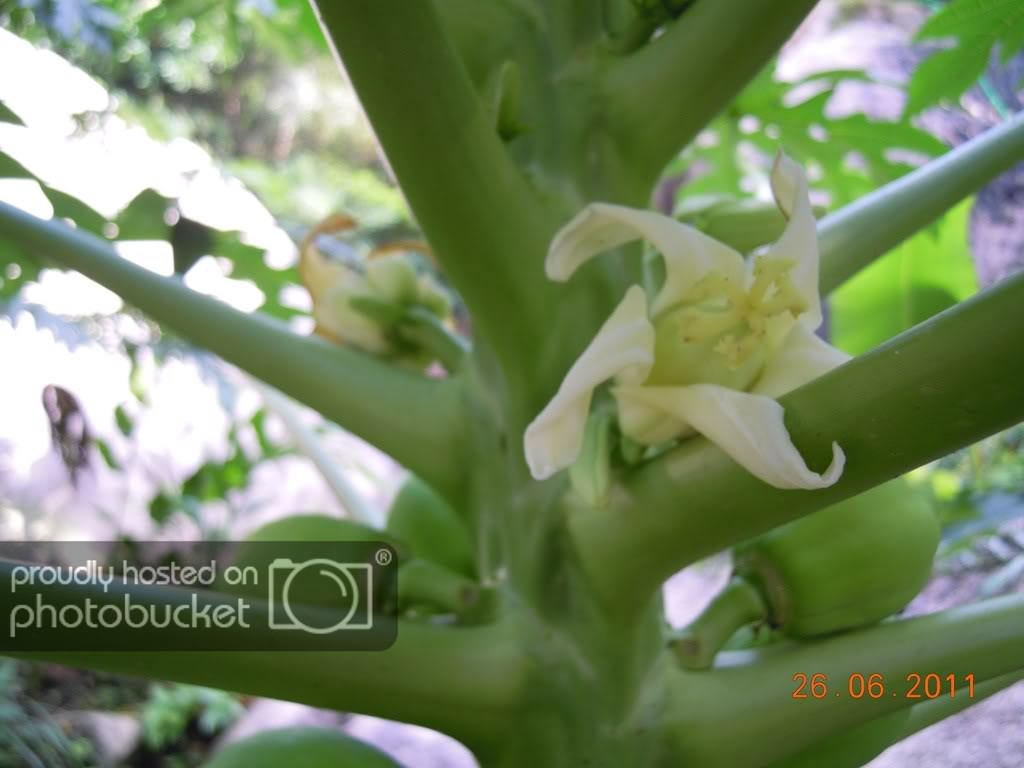 DSCN2474.jpg
