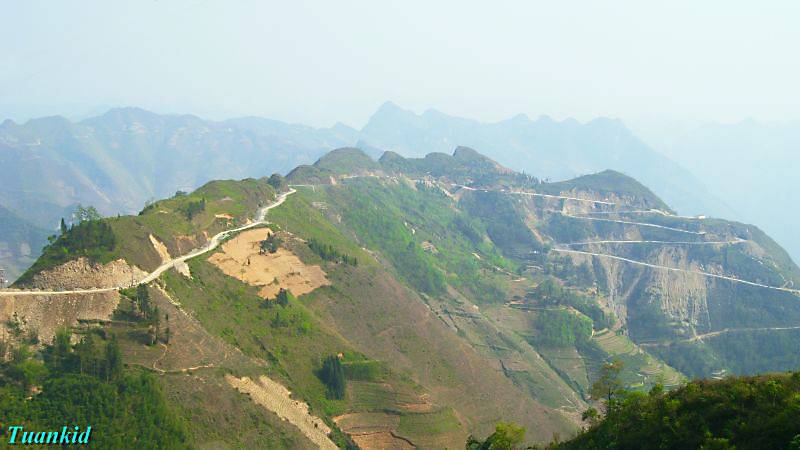 SDC16588.jpg