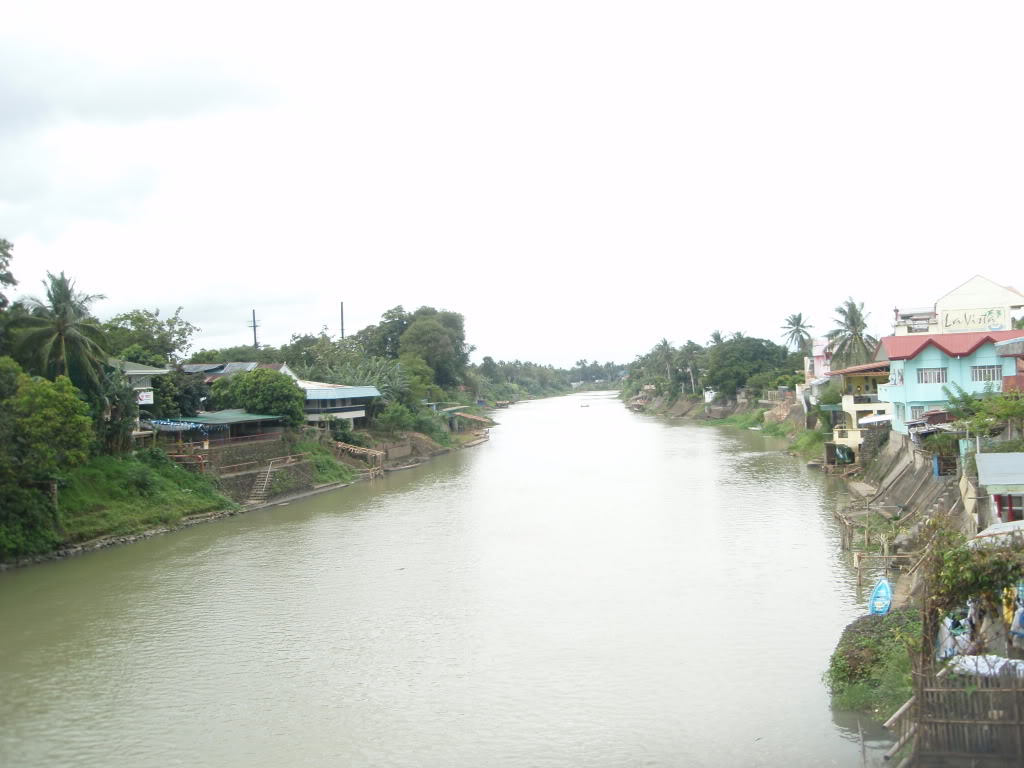 P1010682.jpg