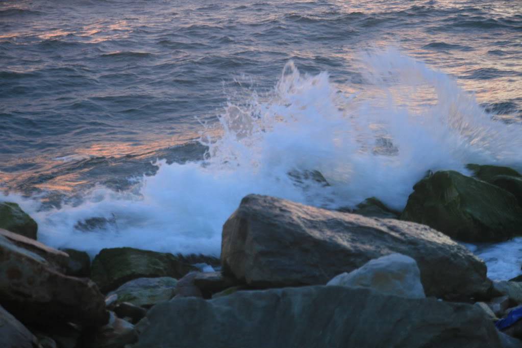 IMG_4578.jpg