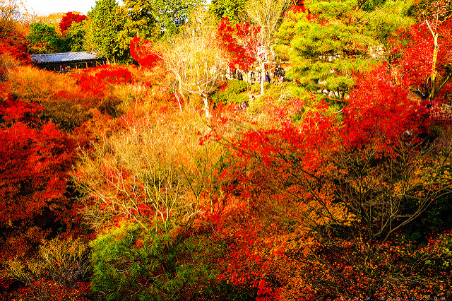 9480962201_194a6ebce5_z.jpg