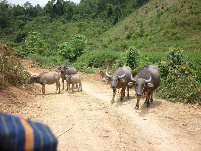 P1300708.jpg