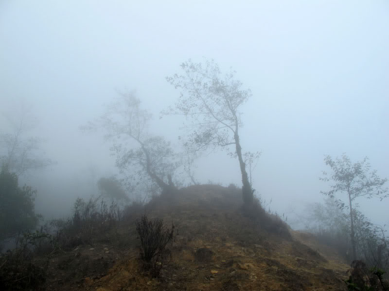HongNgai2011575.jpg