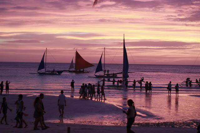 _MG_1515Large.jpg