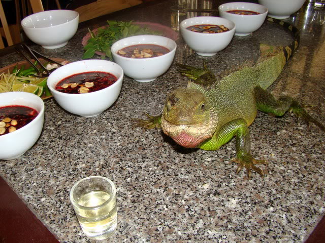 DSC03248.jpg
