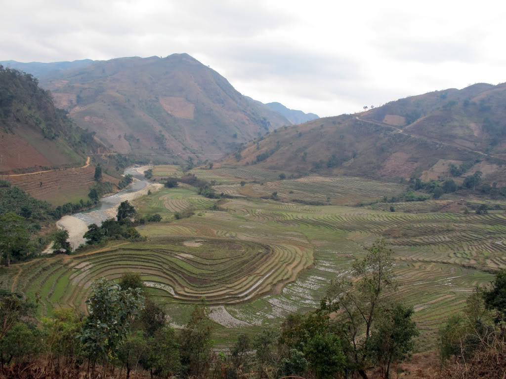 HongNgai2011788.jpg