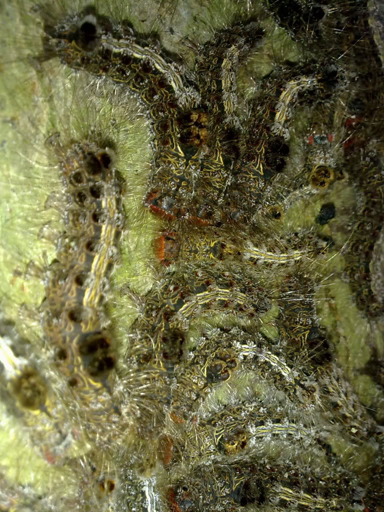 14052011820.jpg