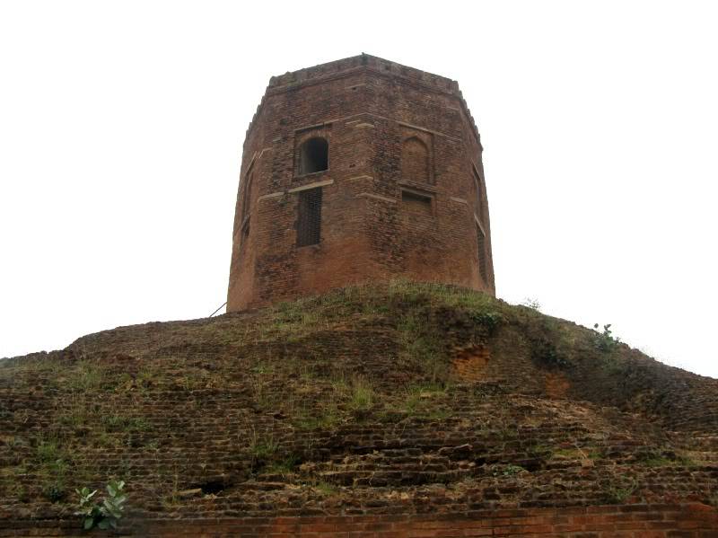 PB190970.jpg