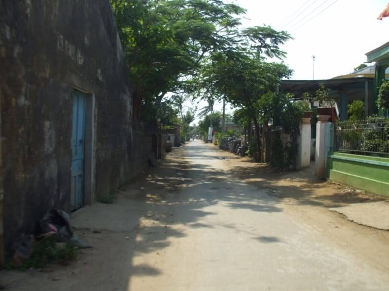 DSCF6733.jpg