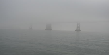 DSC02953.jpg