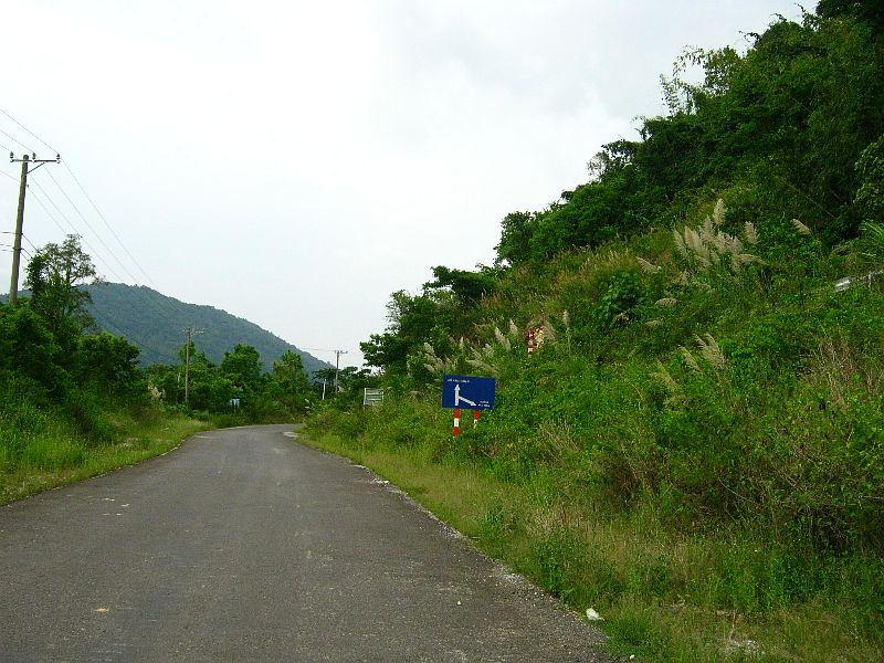IMG_3310.jpg