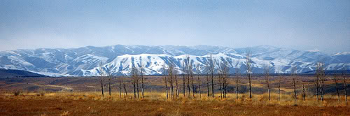 2056546420_94a8137080.jpg