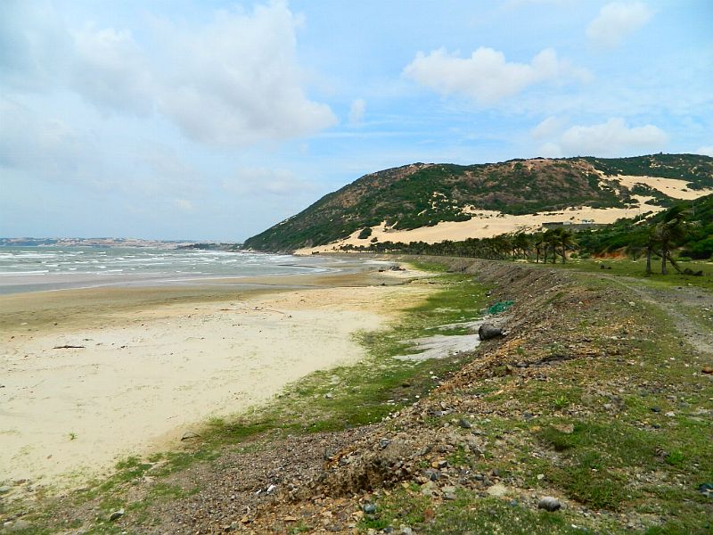 DSCN2177a.jpg