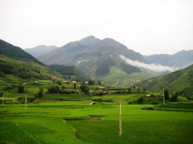 IMG_7160.jpg