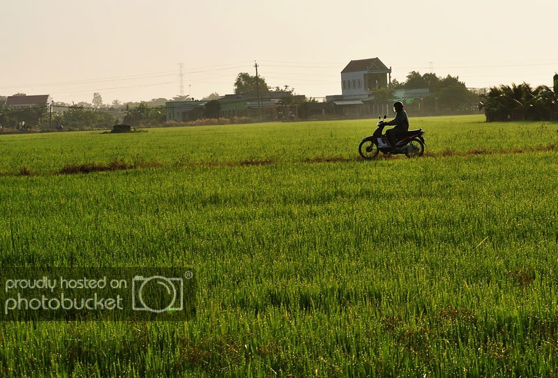 DSC_4705_zpsb485556e.jpg