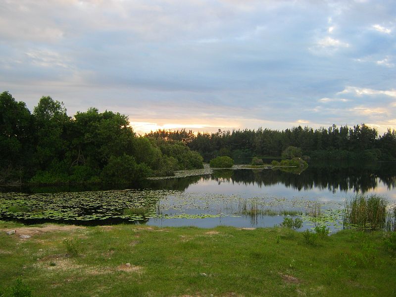 IMG_8143.jpg