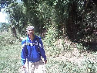 IMG369.jpg