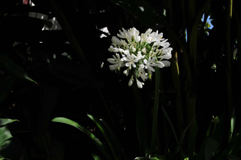 DSC_5067_zps5e7aa1b5.jpg