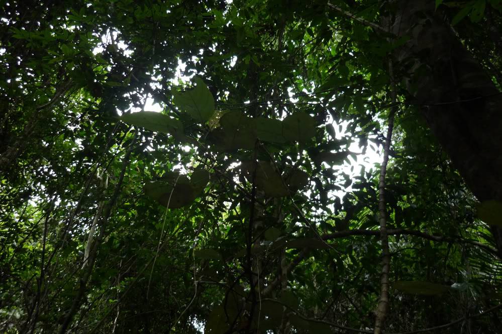 1P1070553.jpg