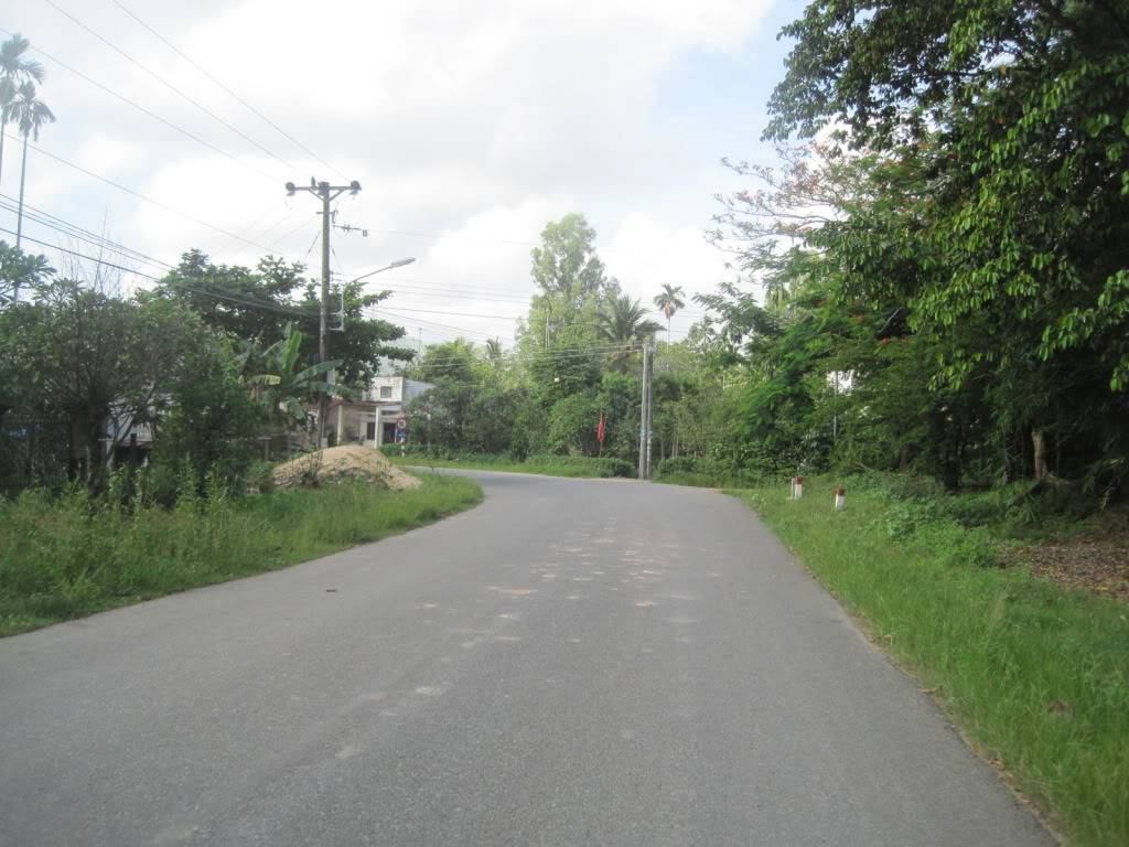 QL55QL28045.jpg