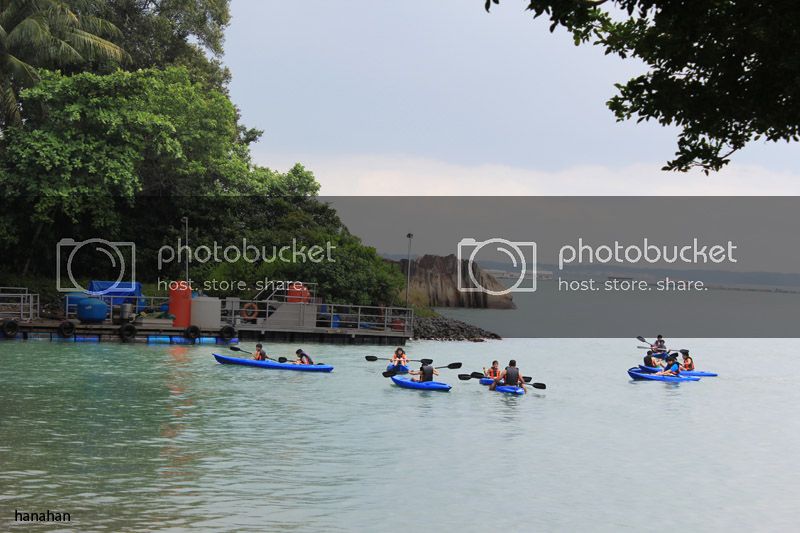 IMG_7736_zps1ddc870d.jpg