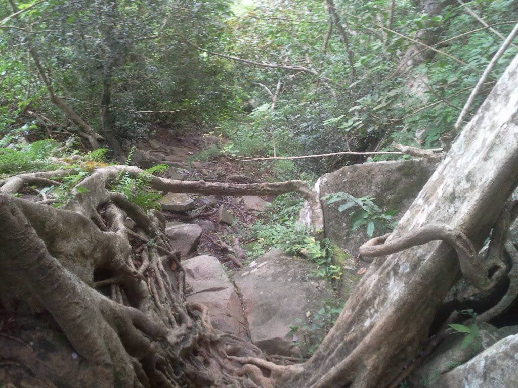 Photo0804.jpg