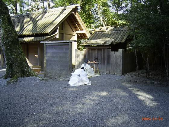 R0011179_resize.jpg