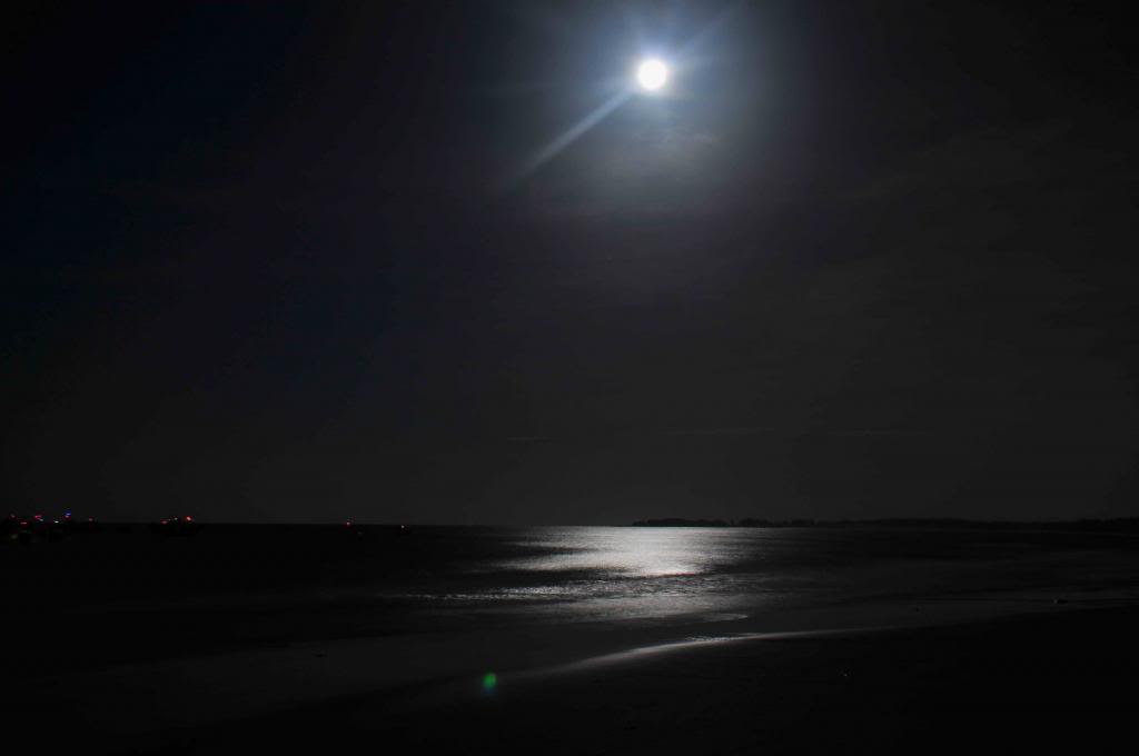 DSC_1847_zps68e3dff0.jpg