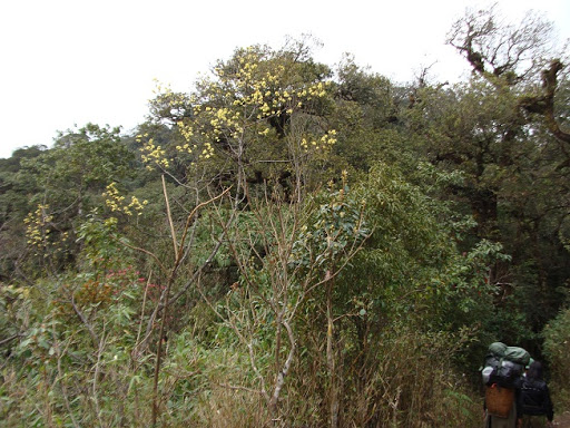 DSC06118re.jpg