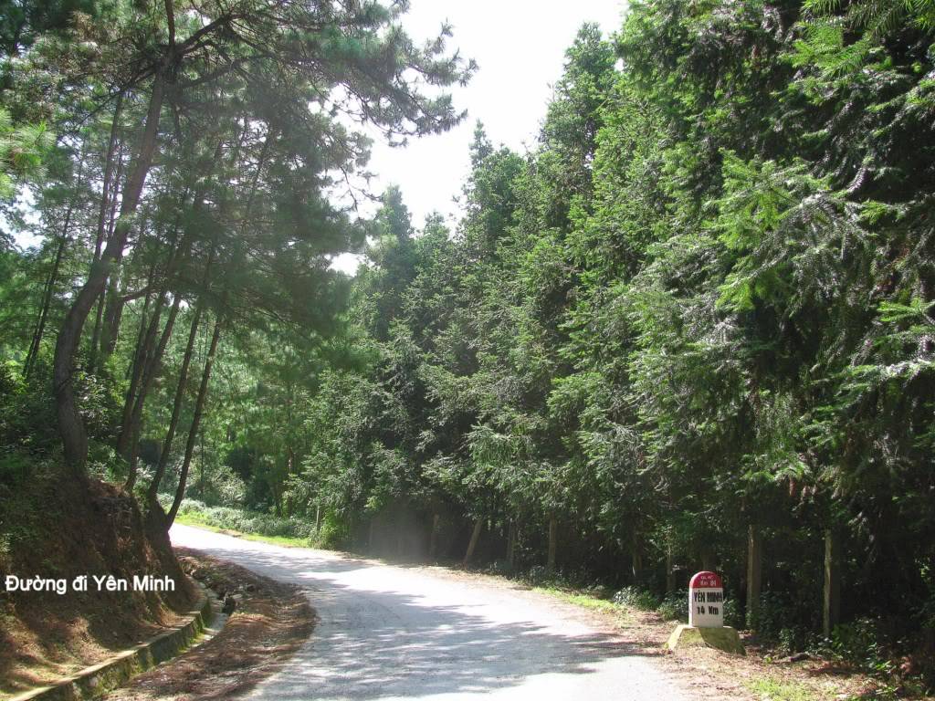 ngiYnMinh-0261024x768.jpg