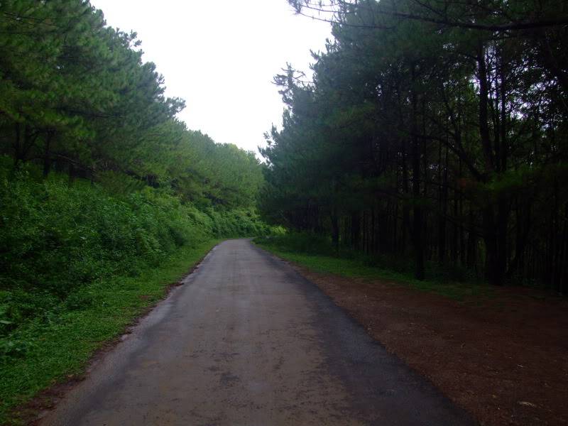 DSCF3186.jpg