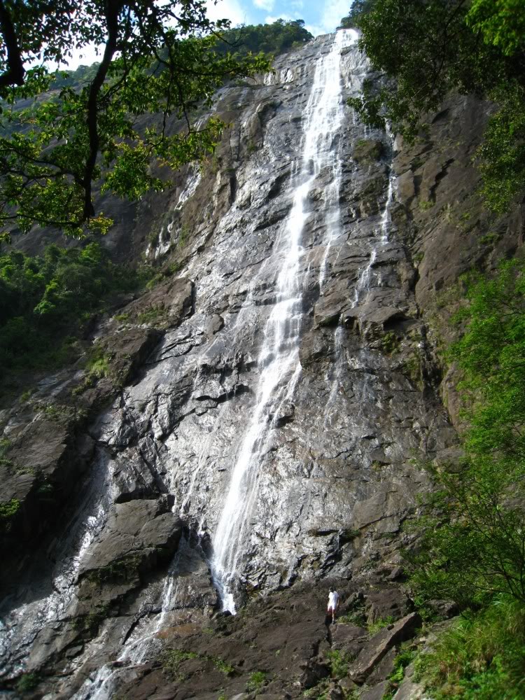 IMG_3489.jpg