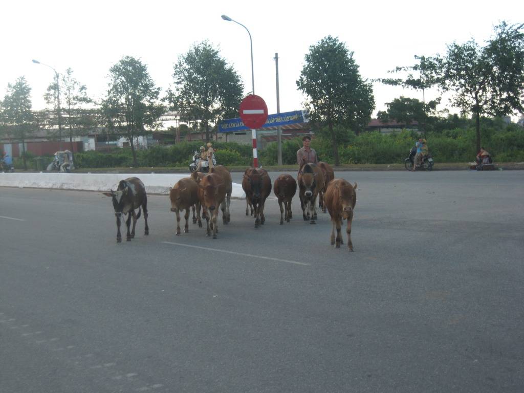 IMG_1902.jpg