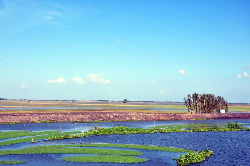 DSC_3945_resize.jpg
