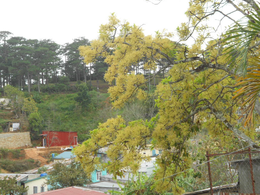 DSCN5587.jpg