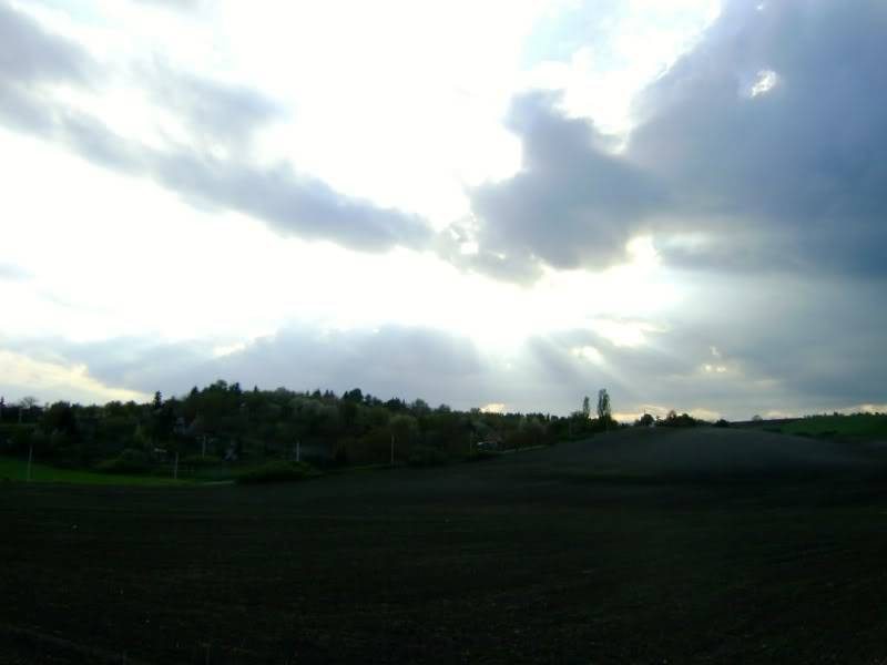 dsc05725.jpg