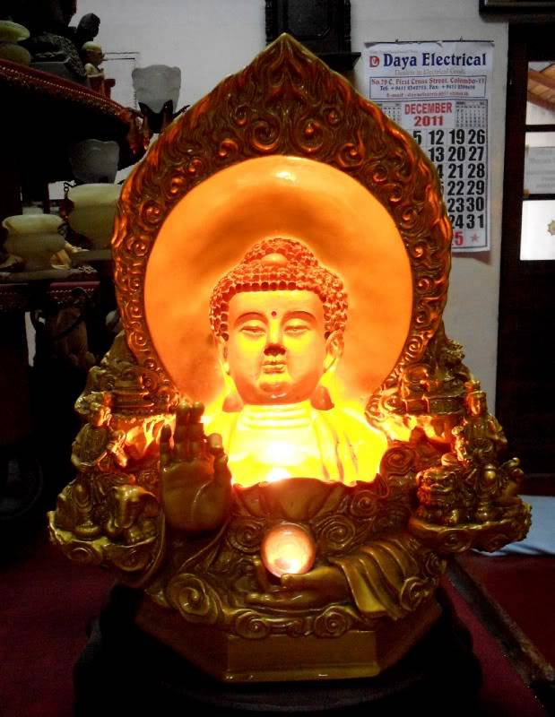 y3DSCN7041-1.jpg