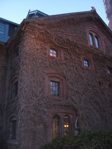 IMG_3822_resize.jpg