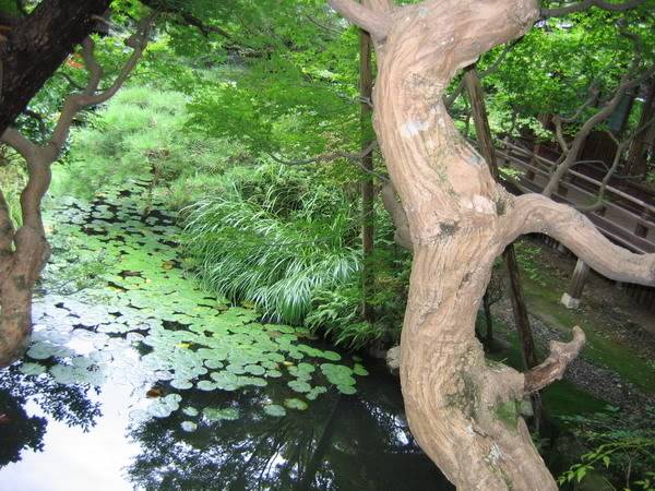 IMG_1134_resize.jpg