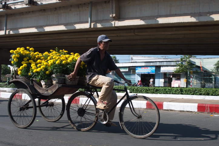 DSC_0335.jpg