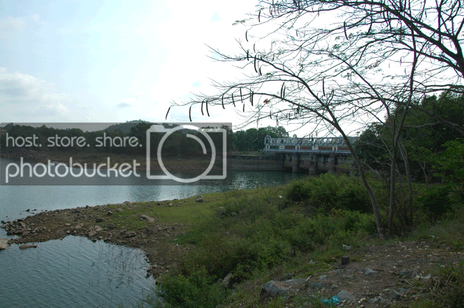 DSC_5572.gif