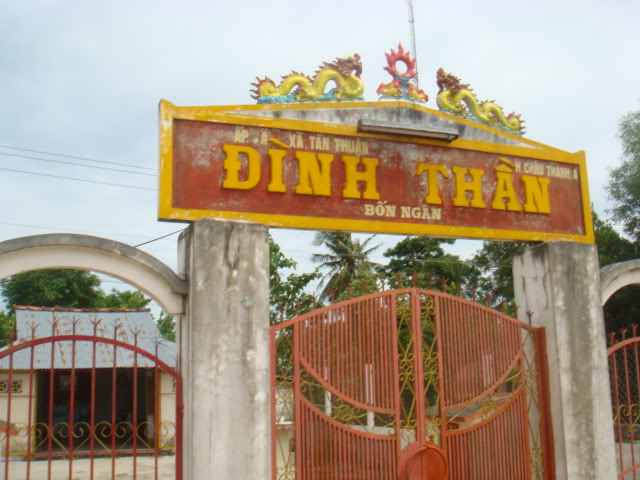 319.jpg