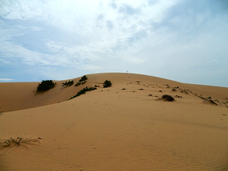 DSCN2116.jpg
