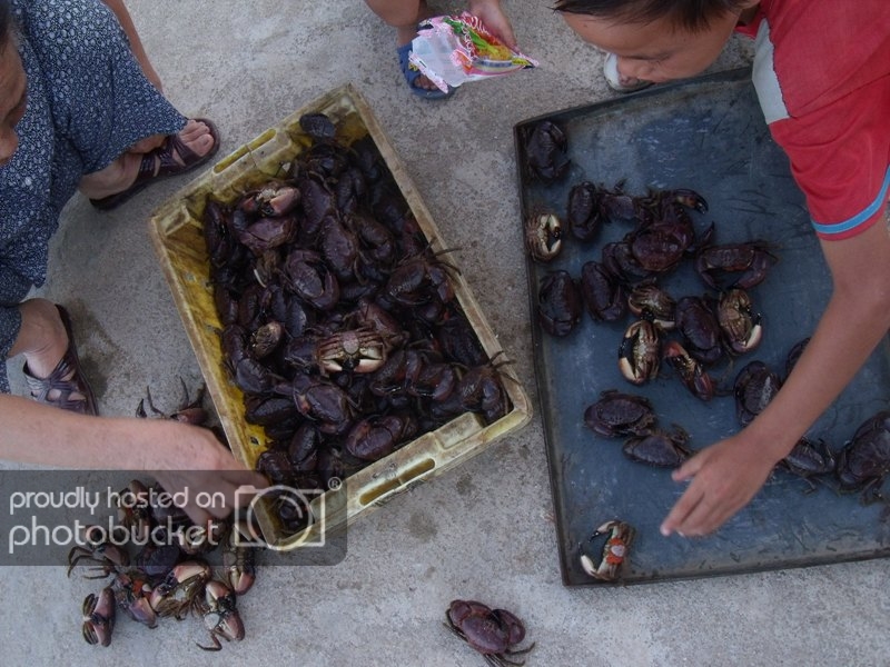 DSCF5458.jpg