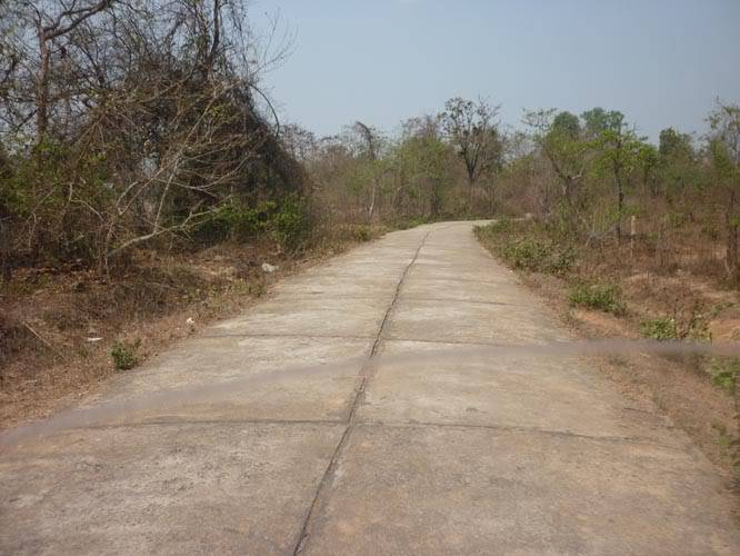 P1020755.jpg