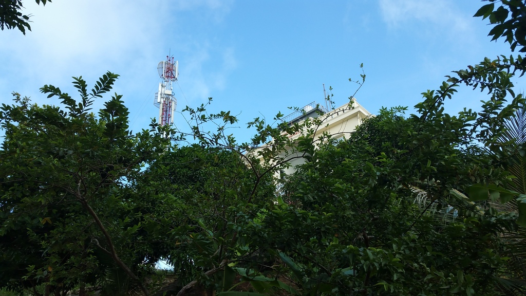 20150717_081510_zpsysmeihnq.jpg