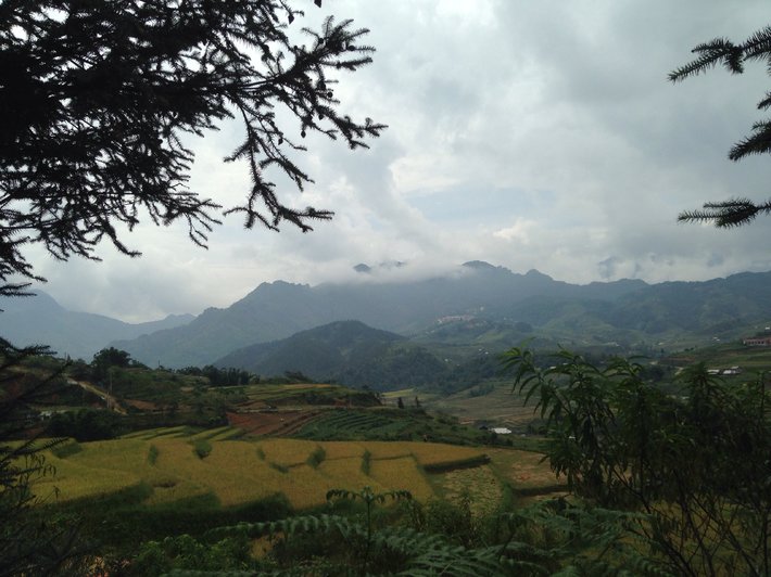 image-jpg.137806