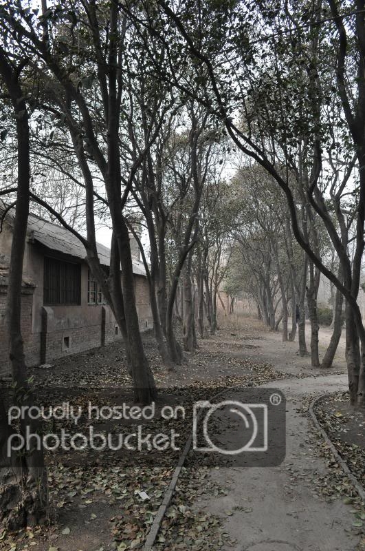 DSC_7693_zps2538fb4d.jpg