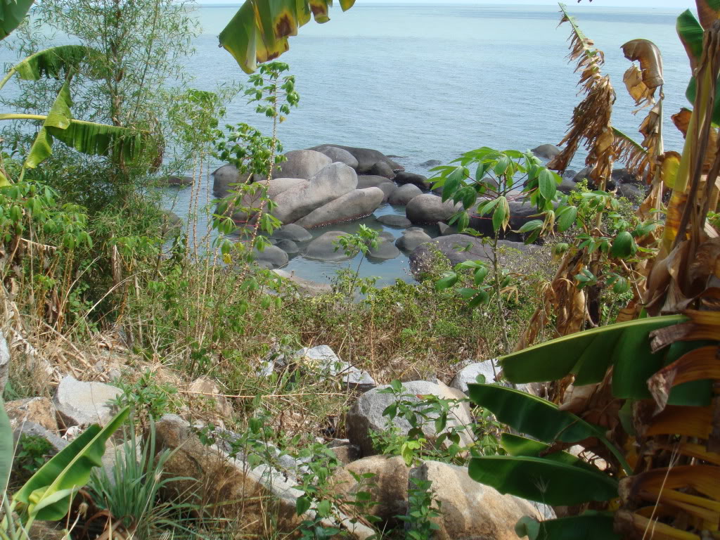DSC00521.jpg