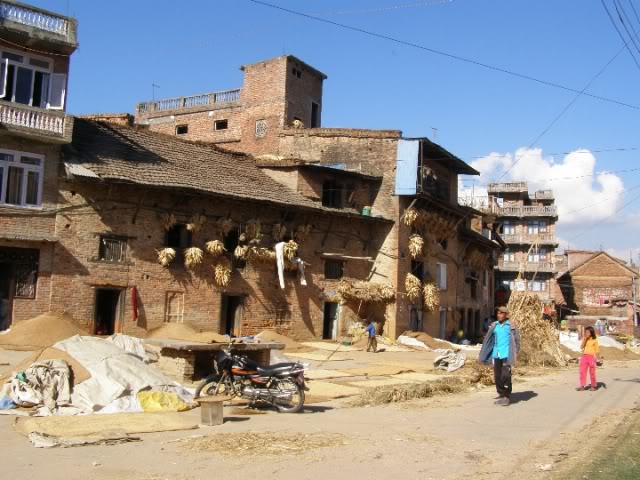 PA290146.jpg